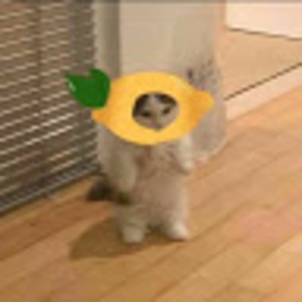 Meet your Posher, Skylyn